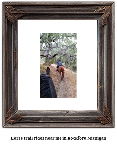 horse trail rides near me in Rockford, Michigan